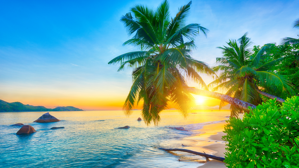 Beautiful Seychelles Beaches