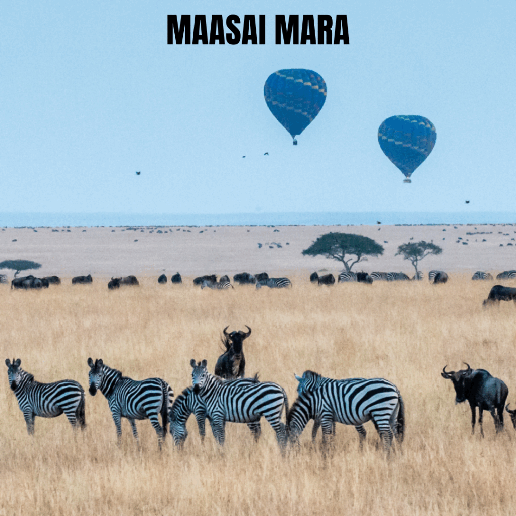  film permits Kenya
