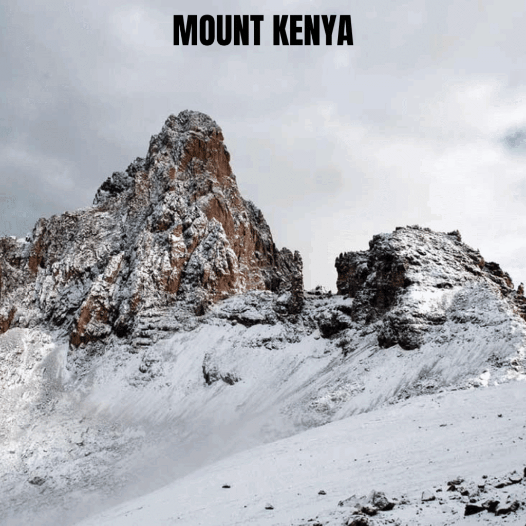 African Fixer Kenya