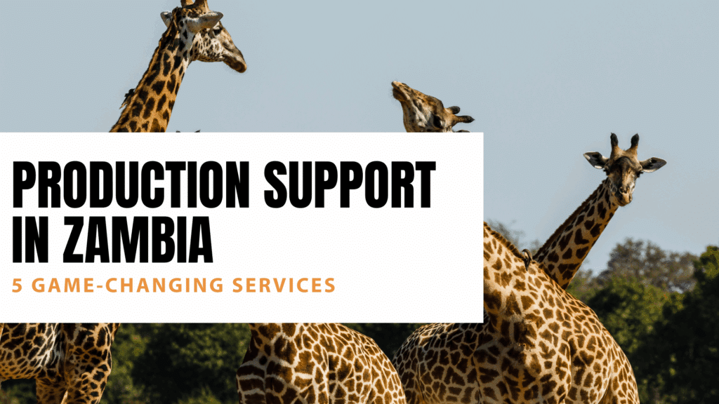 Production Support in Zambia