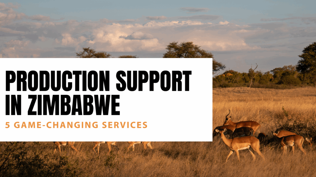 Production Support in Zimbabwe