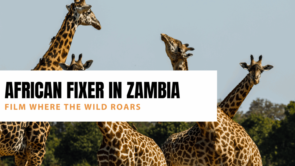 African Fixer in Zambia