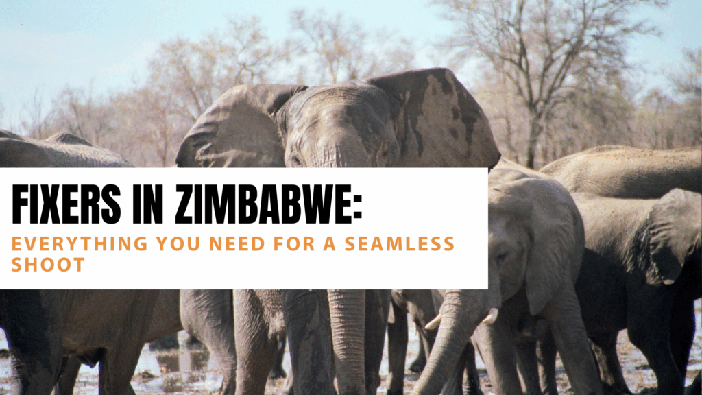 Fixers in Zimbabwe