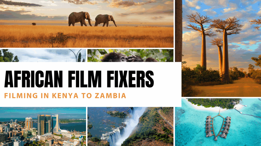 African Fixers