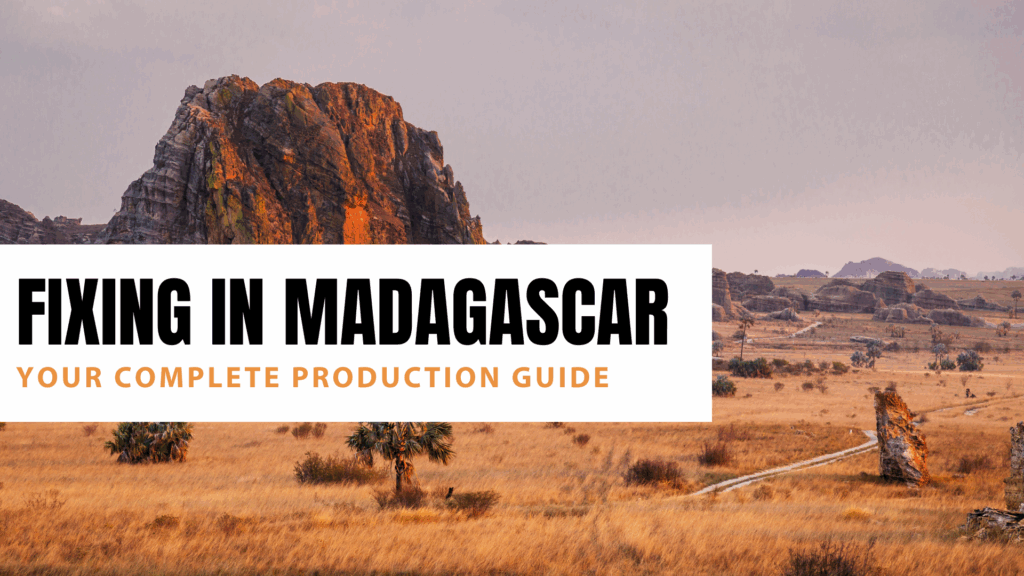 Fixing in Madagascar