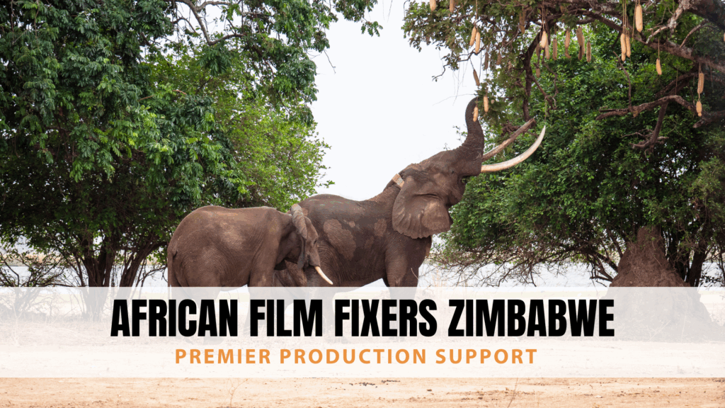 African Film Fixers Zimbabwe