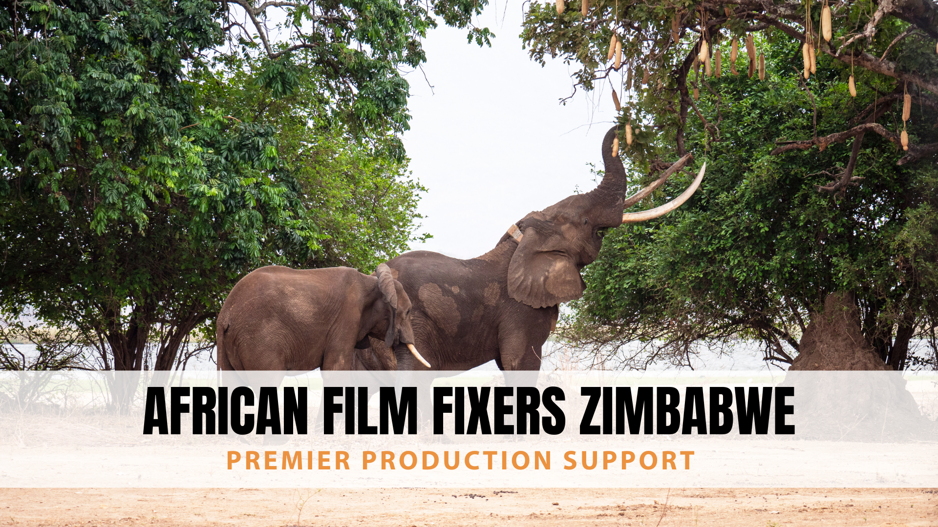 African Film Fixers Zimbabwe – Premier Production Support