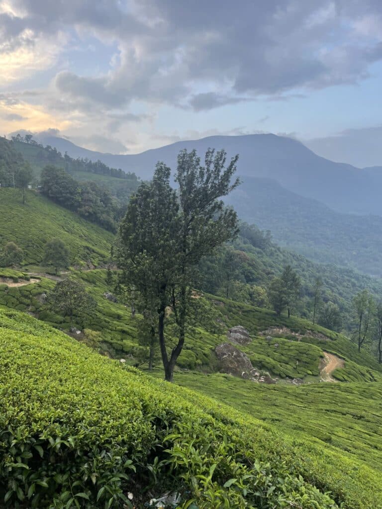Production Support Rwanda — green hills filming landscape with African Fixer