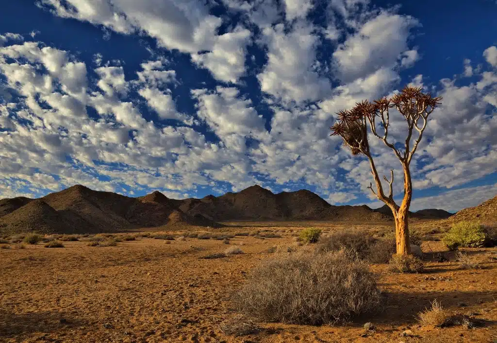 Production Support Senegal: African landscape filming location served by African Fixer
